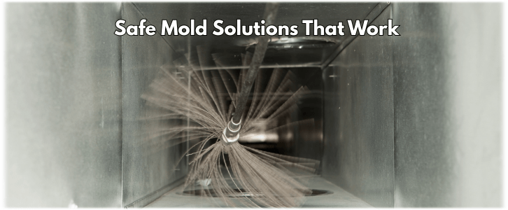 Air Duct Mold Removal in Wheaton IL