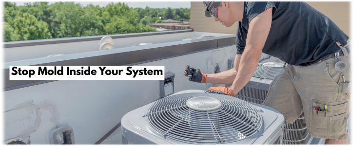 HVAC Mold Removal Wheaton IL